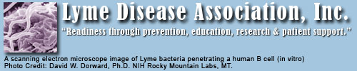 Lyme Disease Association, Inc. Readiness through recognition, prevention and education.